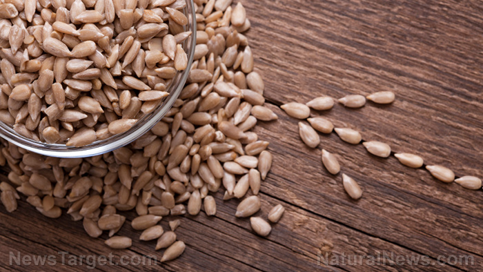 How sunflower seeds deliver big health benefits in a tiny package – NaturalNews.com How sunflower seeds deliver big health benefits in a tiny package – NaturalNews.com