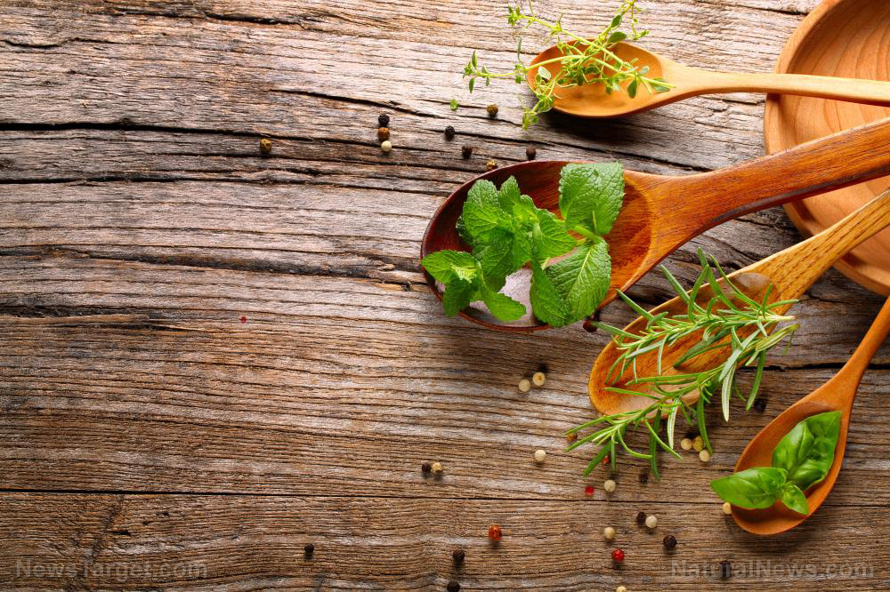 The power of fresh herbs: Elevating flavor, nutrition and wellness in every meal
