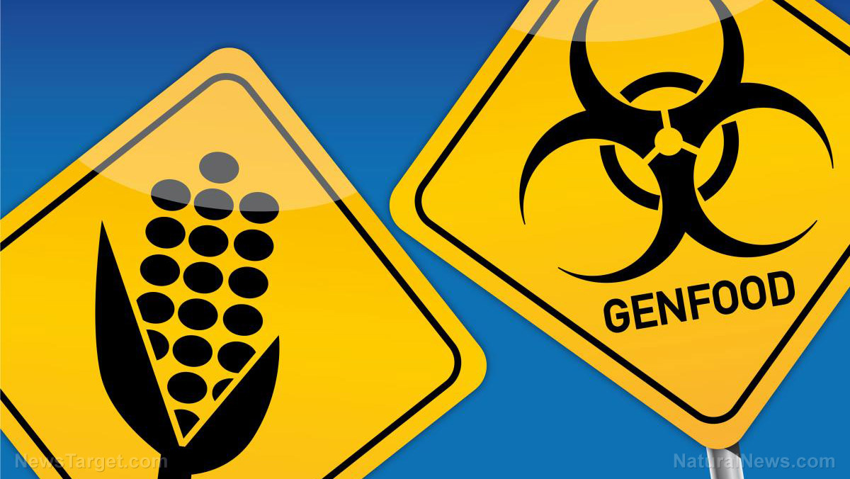 Decade-old clue ignored: Could a GMO protein be creating “leaky gut”?