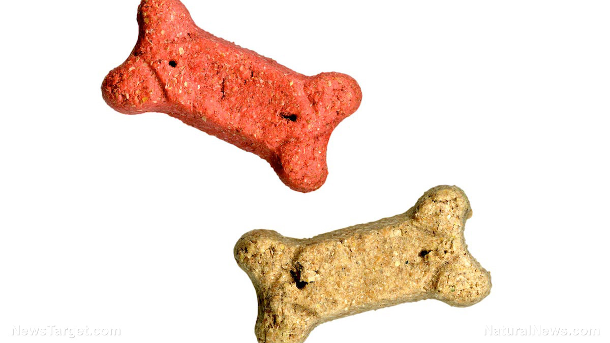 “The Truth About Pet Cancer” on BrightU: Experts link pet cancer to mitochondrial damage from toxins like fluoride