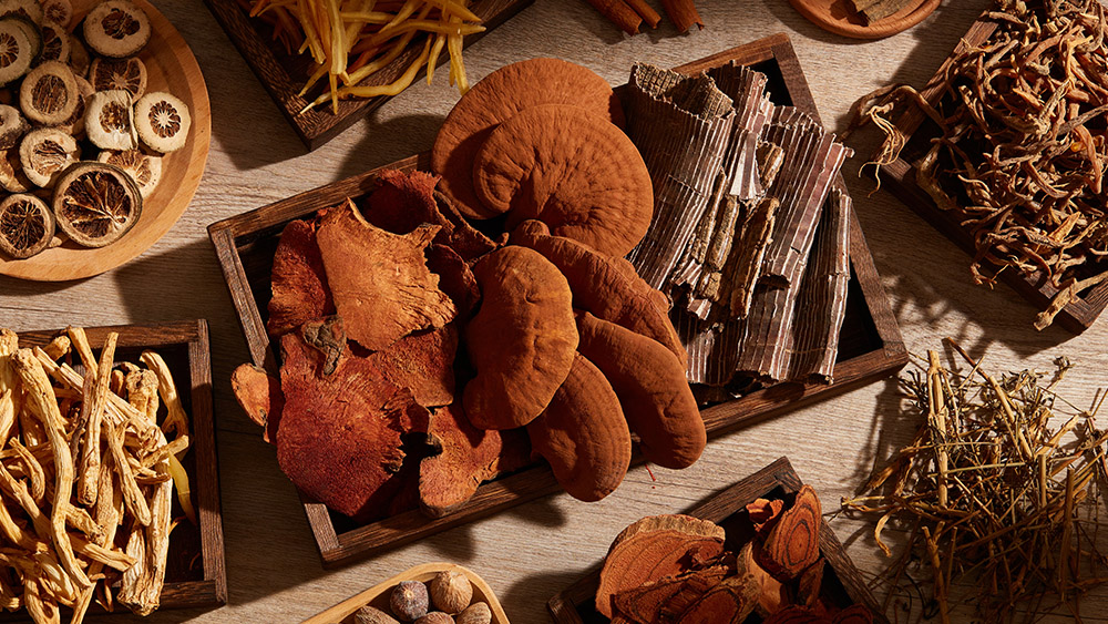 Forest medicine returns: How chaga, reishi, and lion’s mane protect modern health