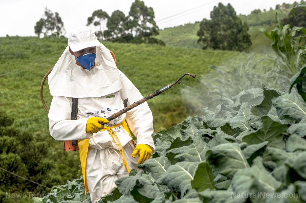 U.S. launches “Product of USA” campaign to support farmers and boost food transparency