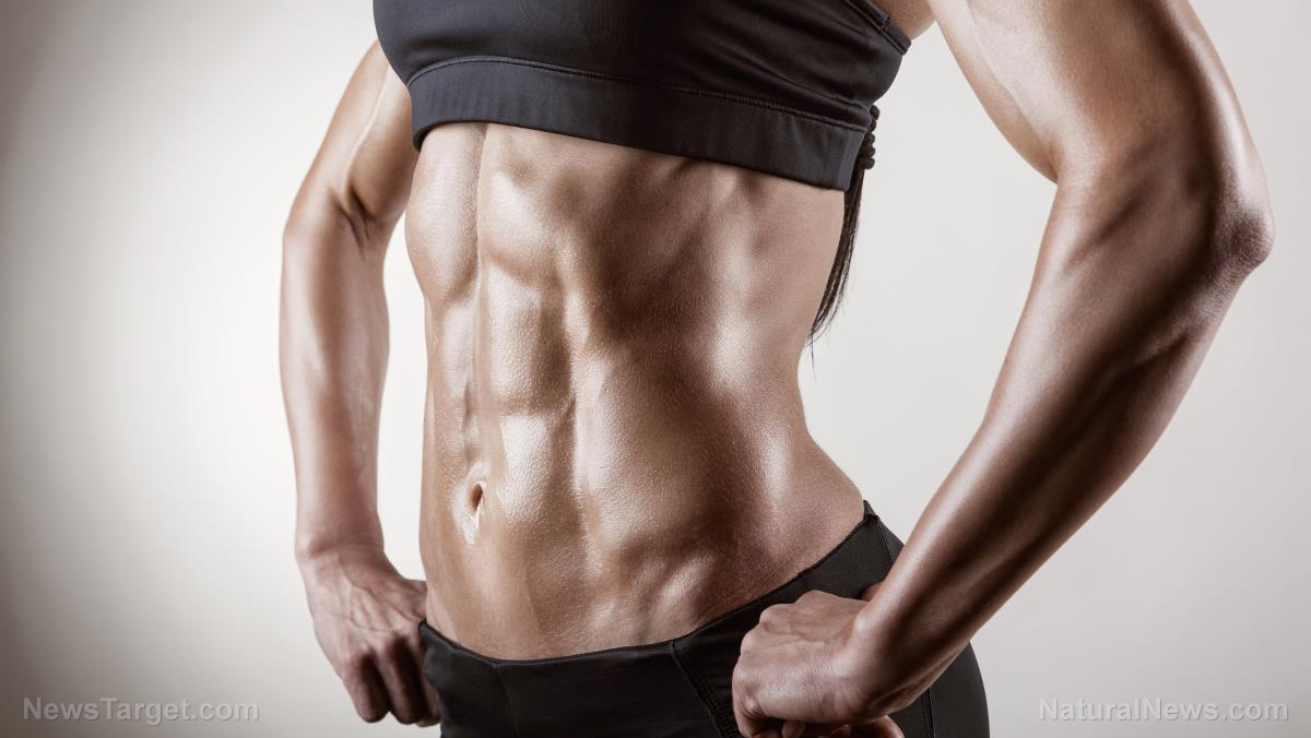 Muscle-vascular crosstalk: The secret to aging strong and healthy