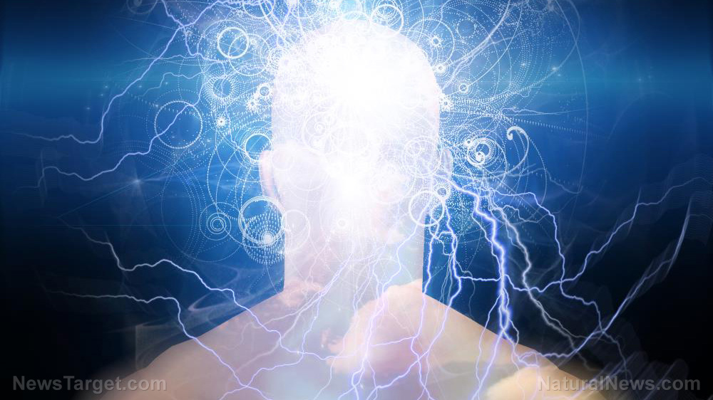 Creatine for the brain: Study reveals surprising boost in memory, focus and mental speed