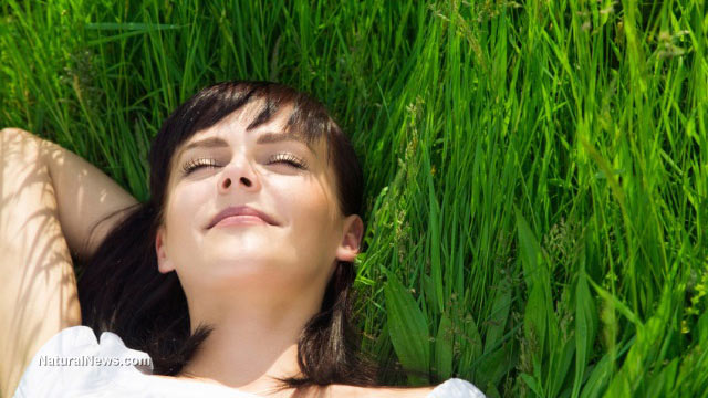 The healing power of solitude in nature: How alone time outdoors reduces loneliness