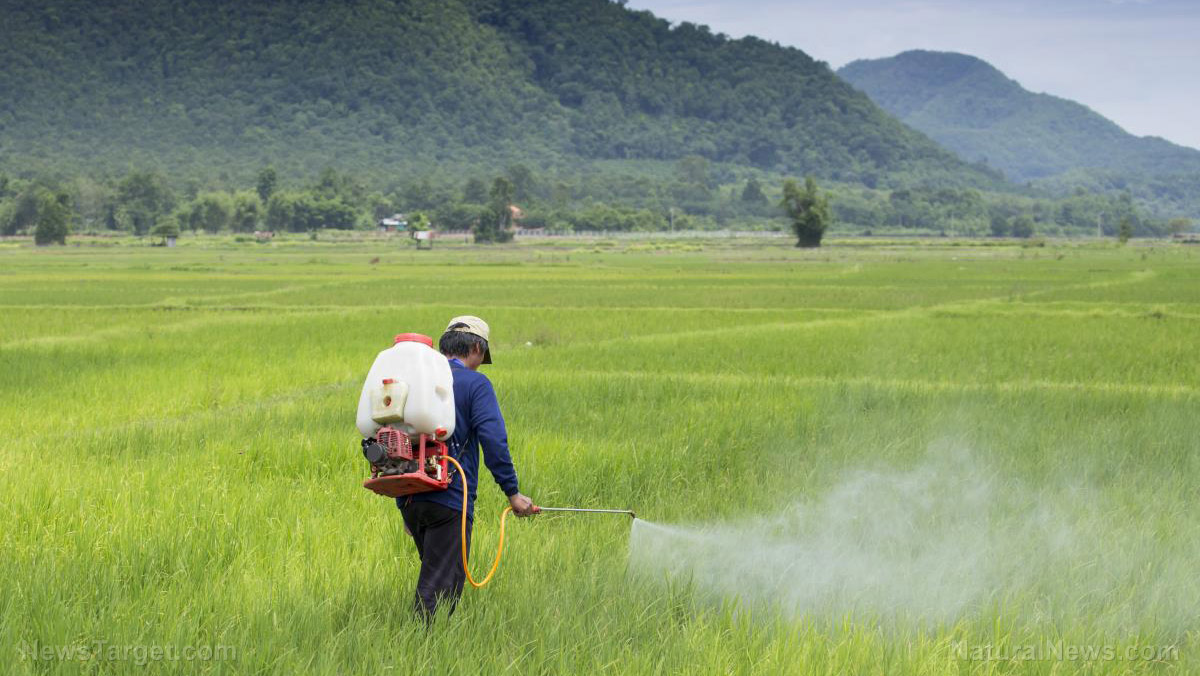 Dangerous secrets about glyphosate: Why consumers must demand stricter testing