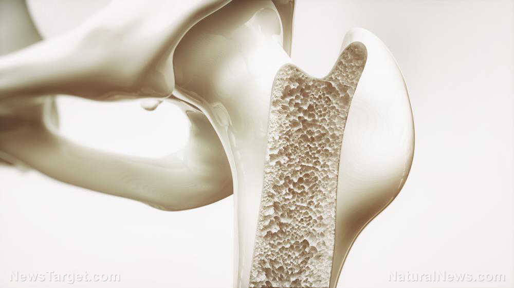 The structural truth: Can a daily dose of collagen really rebuild your body from within?