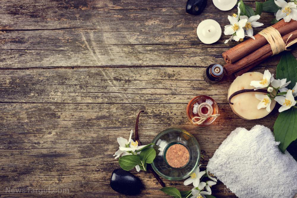 The shift toward plant-based home care nobody’s talking about The shift toward plant-based home care nobody’s talking about