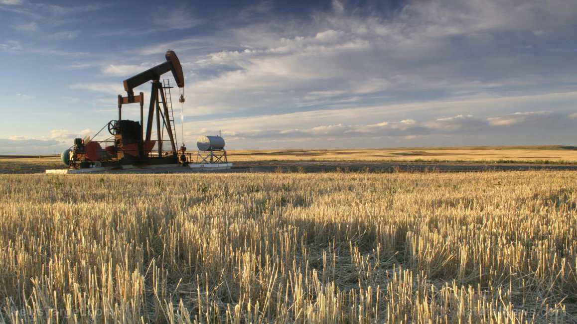 “Beyond The Diagnosis” on BrightU: How forever chemicals and corporate greed are turning farmland into toxic wastelands