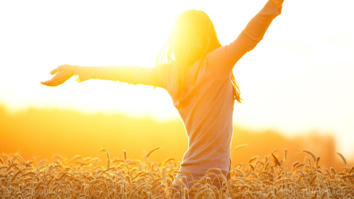 Vitamin D deficiency linked to increased oxidative stress and chronic disease risk