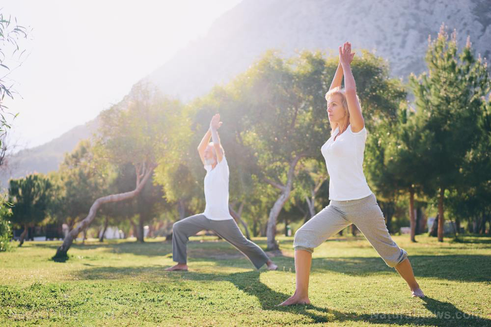Why bodyweight exercises are the new frontier for seniors seeking strength Why bodyweight exercises are the new frontier for seniors seeking strength