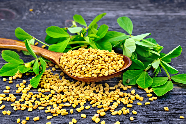 Fenugreek’s promise and peril in the quest for wellness Fenugreek’s promise and peril in the quest for wellness