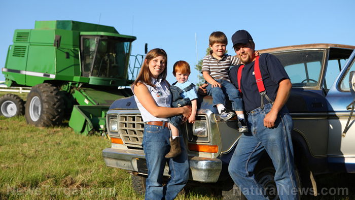 “Foundations in Farming and Homesteading + Pastured Laying Hens” on BrightU: What happens when the whole family works together